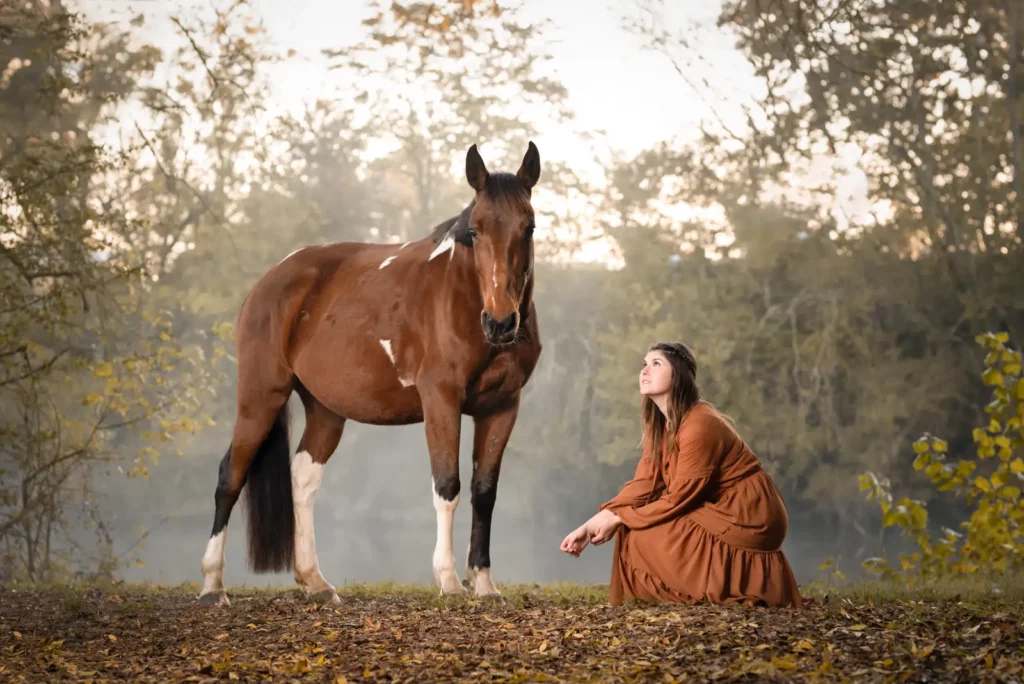 photographe cheval le mans sarthe