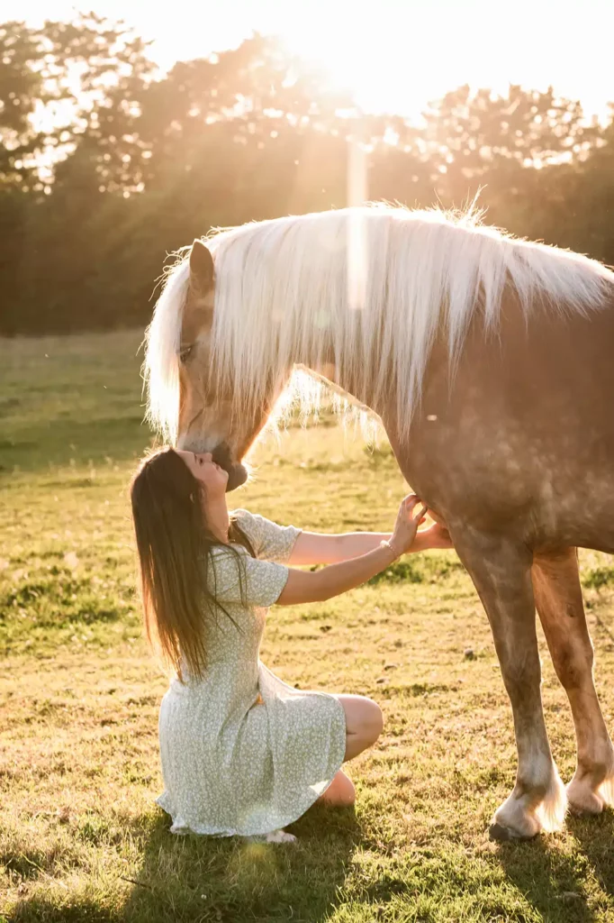 seance photo portrait avec cheval le mans sarthe