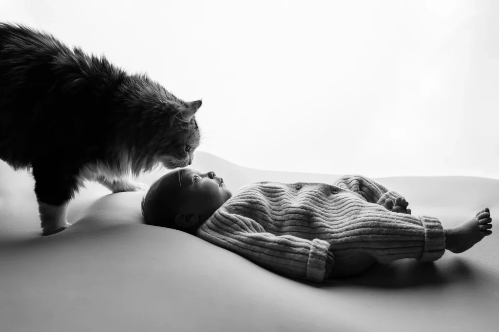 shooting bebe a domicile avec chat